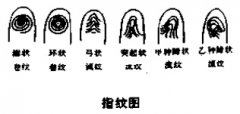 <a href='http://www.dytaisa.com/baike/shushu/shoumianxiang/12951.shtml'>三十二卦指纹</a>