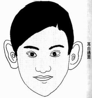 耳白过面,名扬四海
