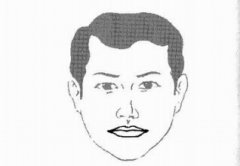 <a href='http://www.dytaisa.com/article/201408/02/11988.shtml'>男儿口大食四方</a>