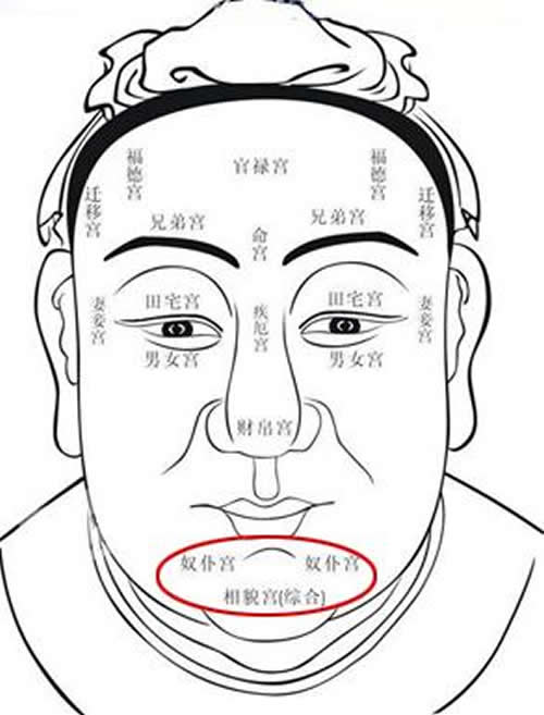下巴有青筋面相代表什么