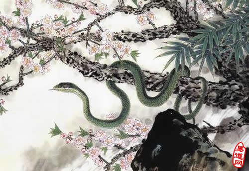 十二生肖属蛇性格解读