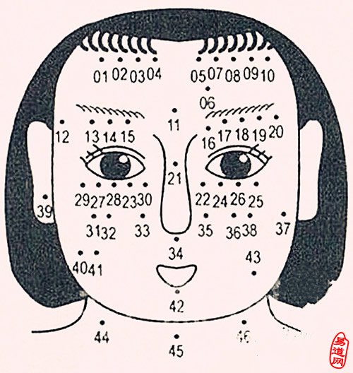 痣相图解:面痣分析(女人篇)
